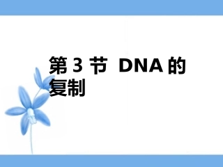 《DNA的复制》参考课件1