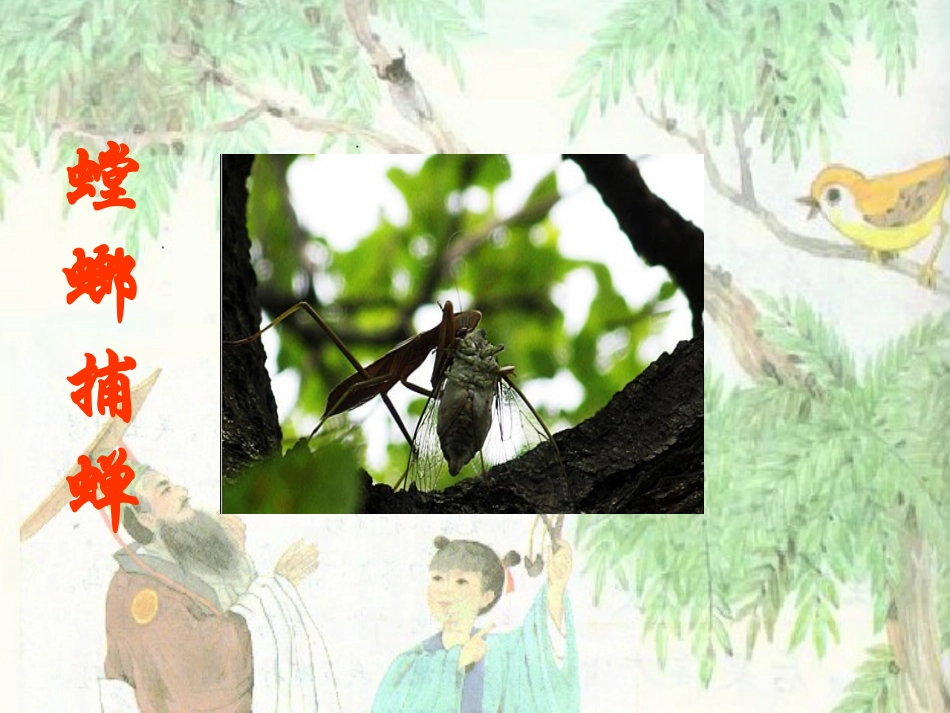 螳螂捕蝉 (2)_第1页
