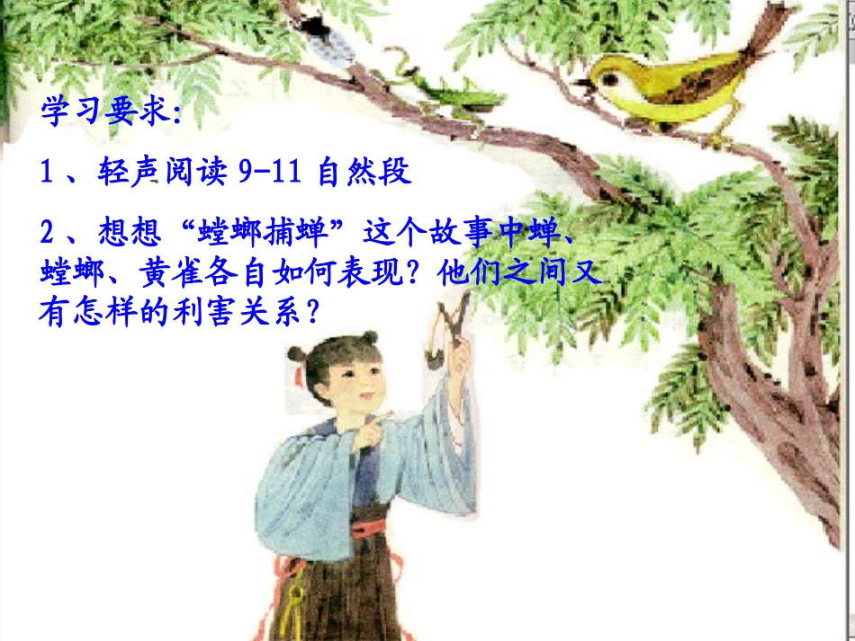 螳螂捕蝉 (2)_第3页