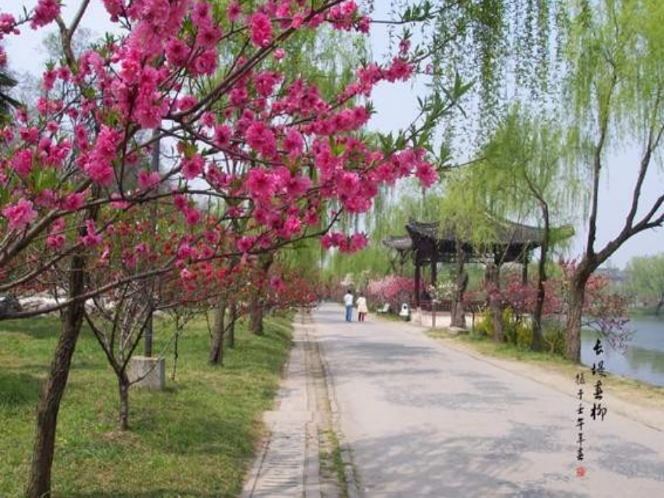 我爱这土地 (3)_第3页
