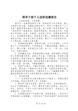 领导干部个人述职述廉报告 (13)