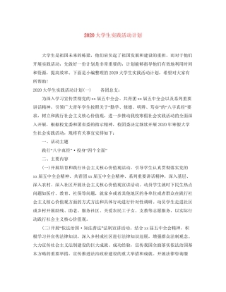 大学生实践活动计划