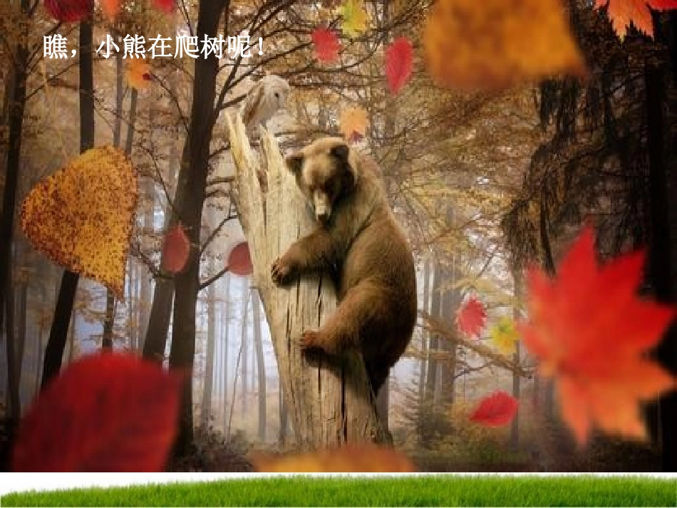吴建芳制作课前3分钟二数_第2页