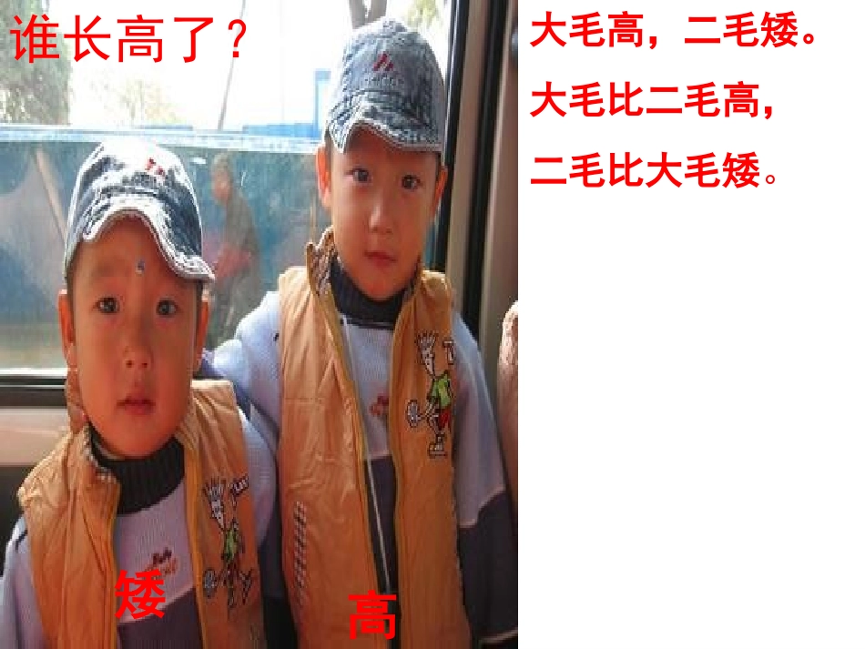 培智一年级比高矮课件_第3页
