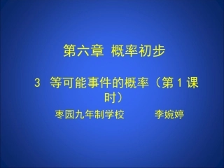等可能事件的概率一李婉婷