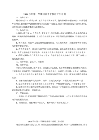 2014培养骨干教师计划、总结