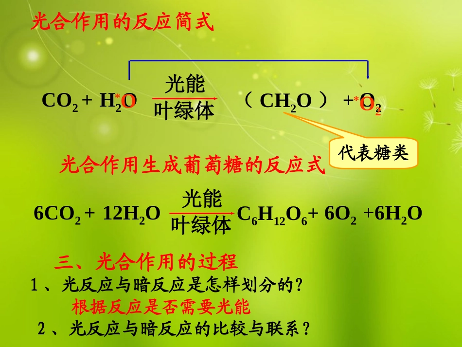 能量之源光与光合作用课件人教版必修_第3页