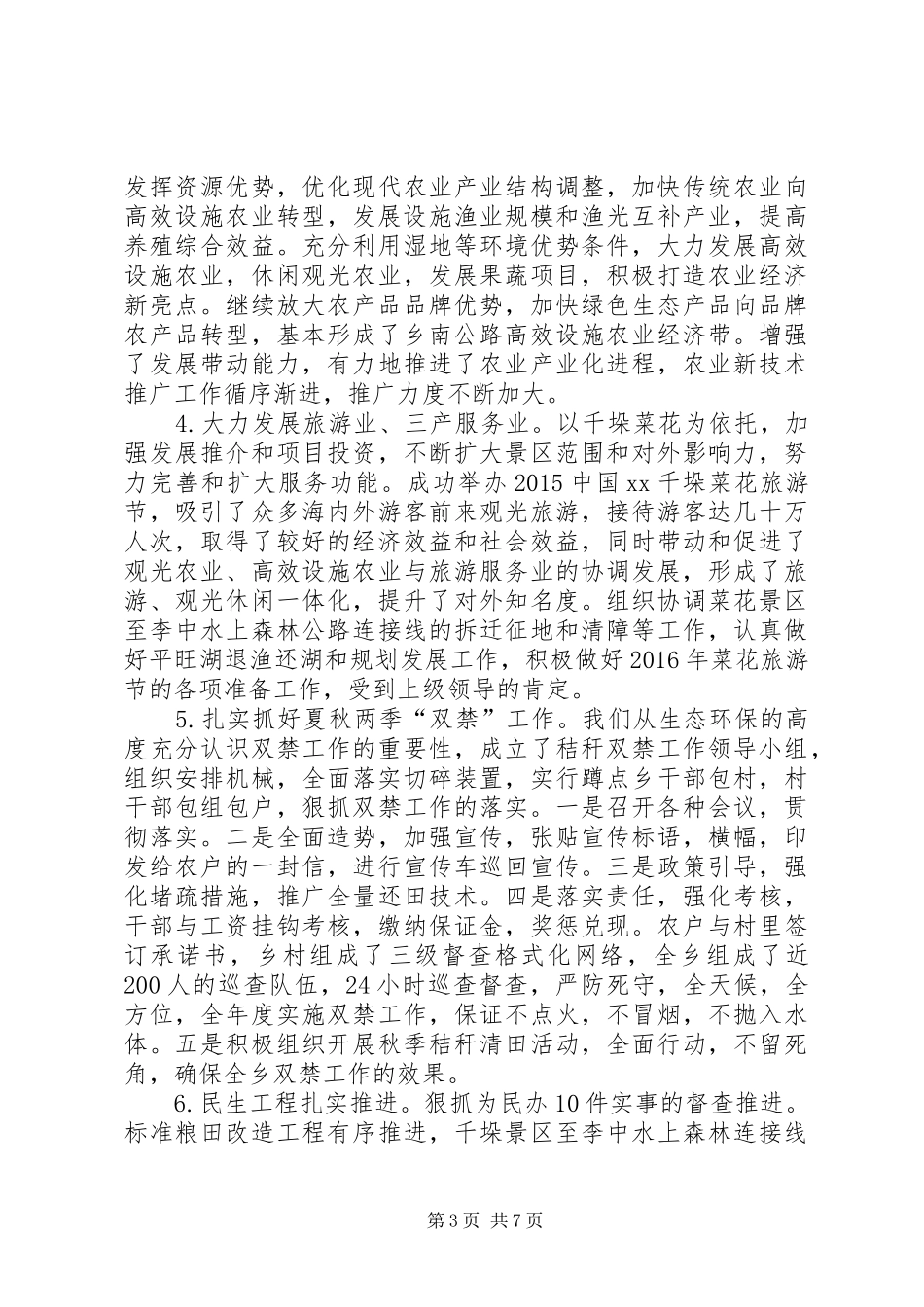 乡镇党委年度述职工作总结_第3页