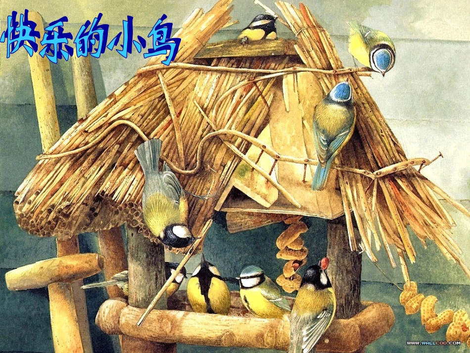 岭南美术：快乐的小鸟(美术课件)_第1页