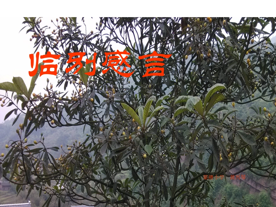 临别赠言MicrosoftPowerPoint演示文稿_第1页