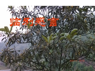 临别赠言MicrosoftPowerPoint演示文稿