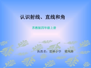 认识直线射线和角