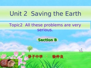 仁爱英语九年级unit2topic2sectionA课件