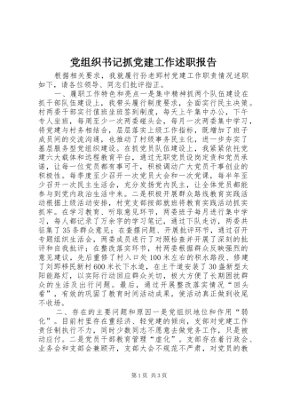 党组织书记抓党建工作述职报告
