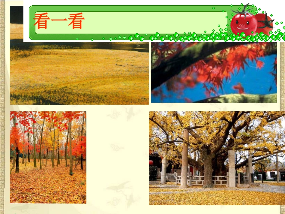 三年级语文上册课件秋天的雨_第2页