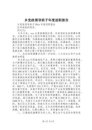 乡党政领导班子年度述职报告