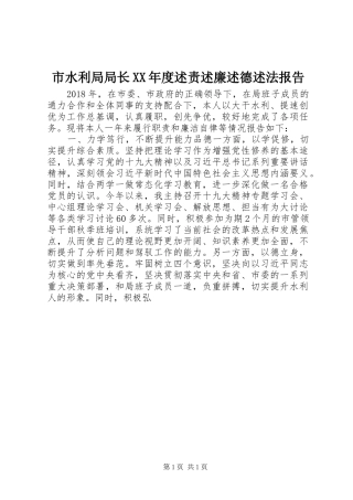 市水利局局长XX年度述责述廉述德述法报告