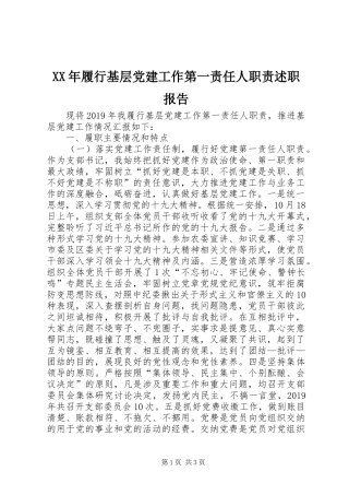 XX年履行基层党建工作第一责任人职责述职报告