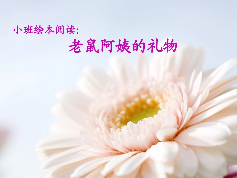 小班绘本《老鼠阿姨的礼物》_第1页