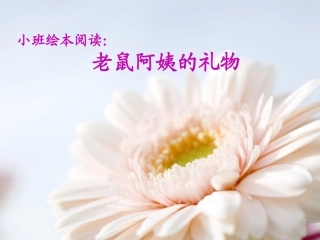 小班绘本《老鼠阿姨的礼物》