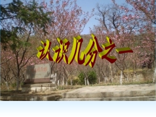蒙杏娜《认识几分之一》