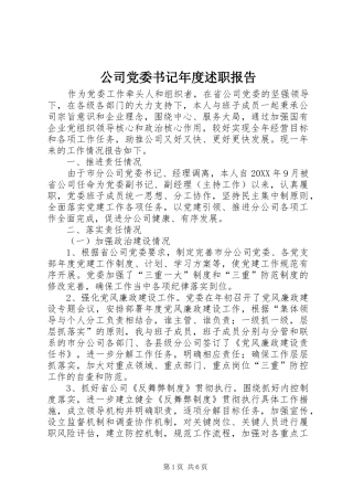 公司党委书记年度述职报告
