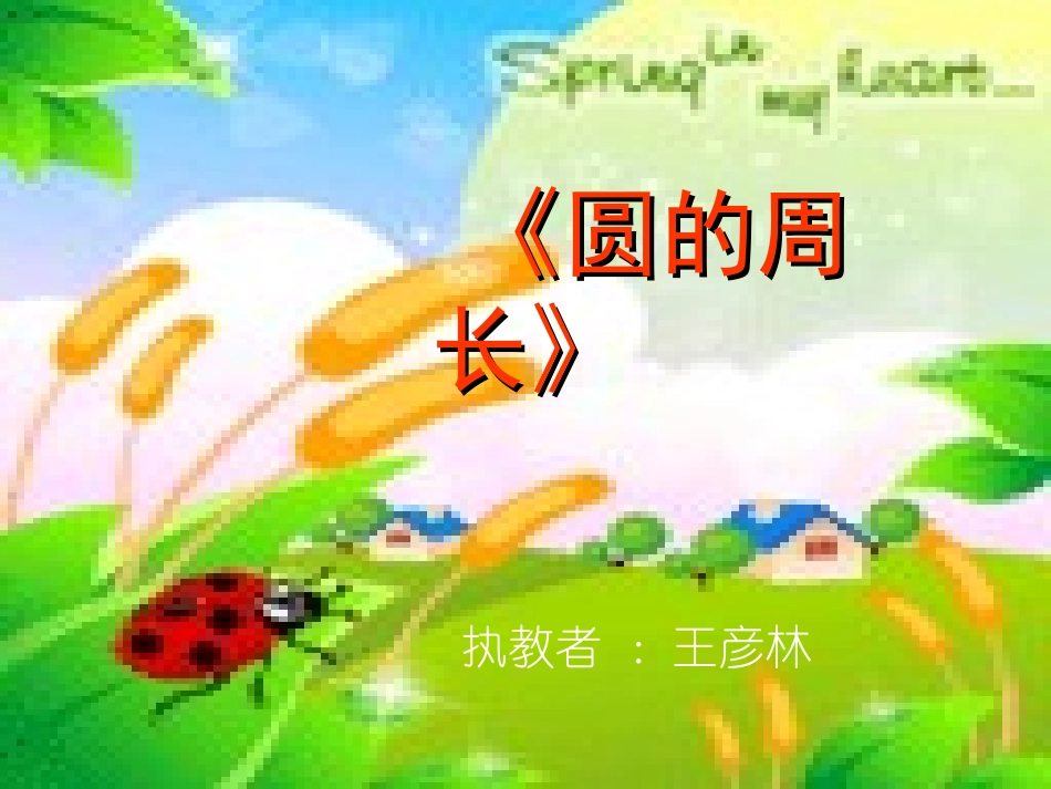 圆的周长 (11)_第1页