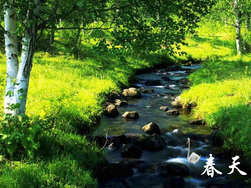 小学三年级语文美丽的小兴安岭_第2页