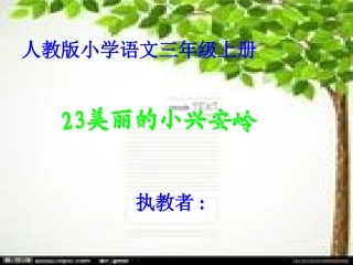 小学三年级语文美丽的小兴安岭