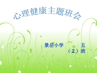 小学生心理健康教育主题班会 (2)