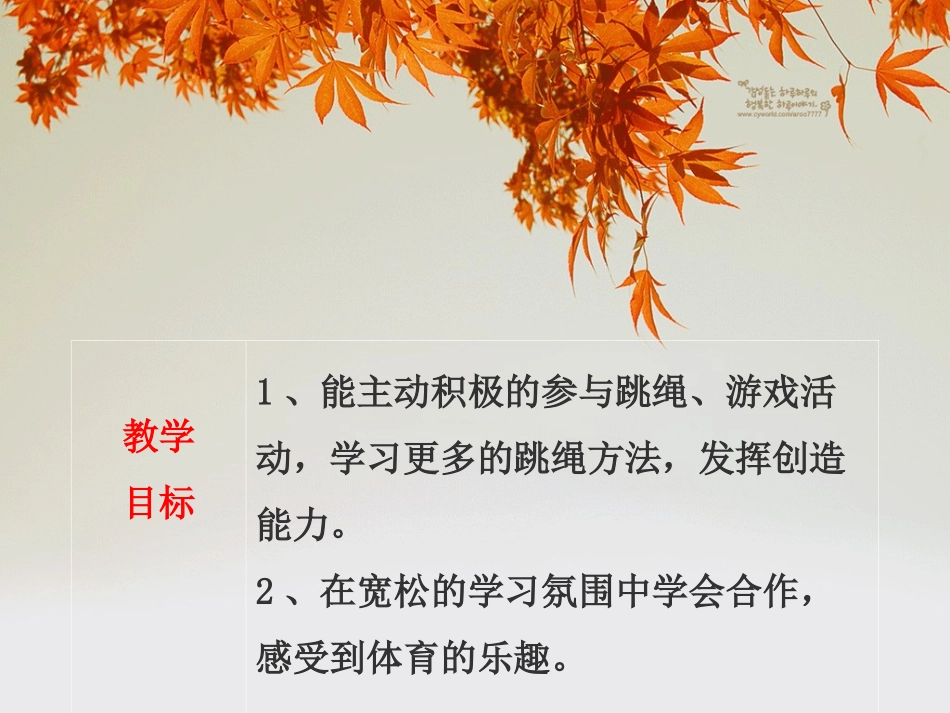 小学体育跳绳培训刘福_第2页
