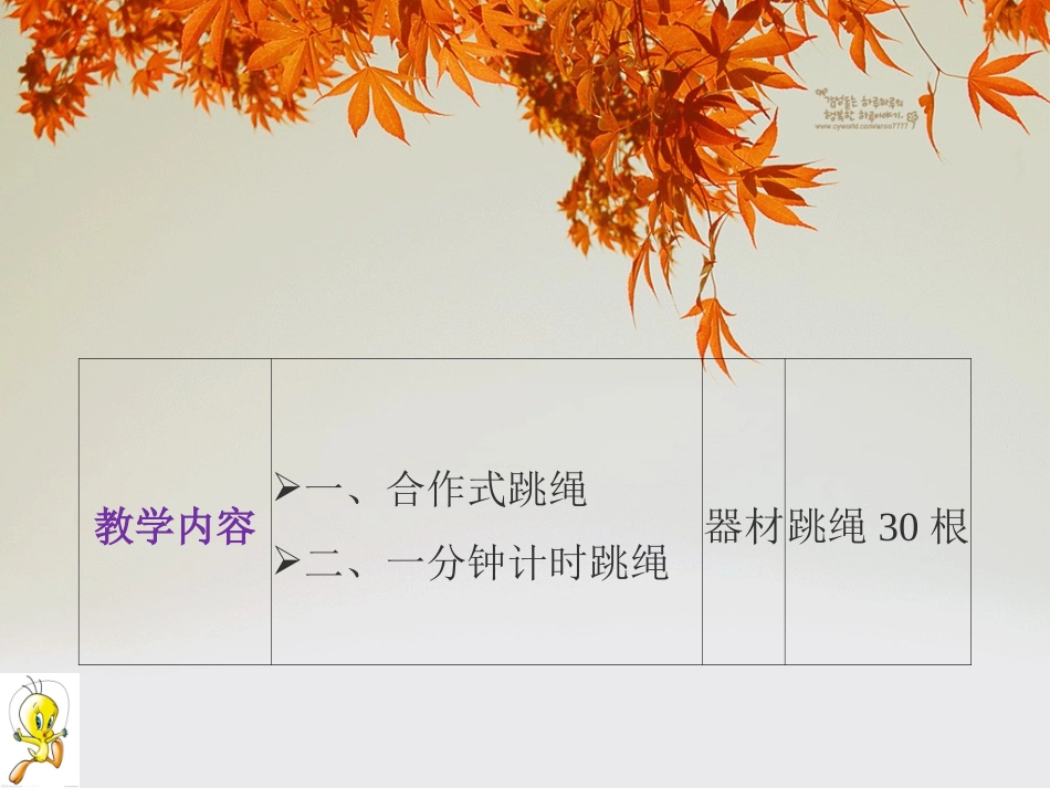 小学体育跳绳培训刘福_第3页