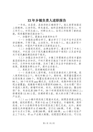 XX年乡镇负责人述职报告