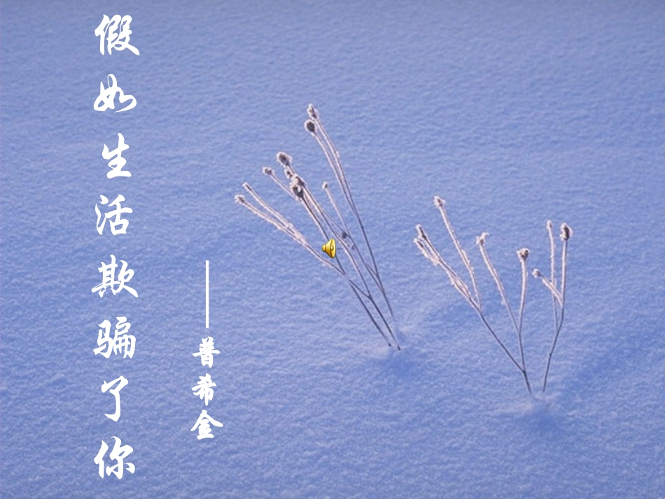 《假如生活欺骗了你》优秀课件_第3页