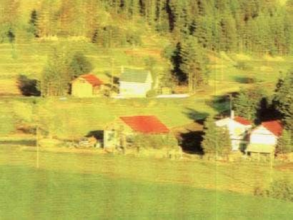 人教新课标音乐五年级上册《彼得与狼》PPT课件_第2页