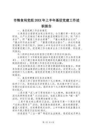 市粮食局党组20XX年上半年基层党建工作述职报告