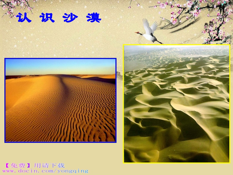 三年级音乐小骆驼_第3页