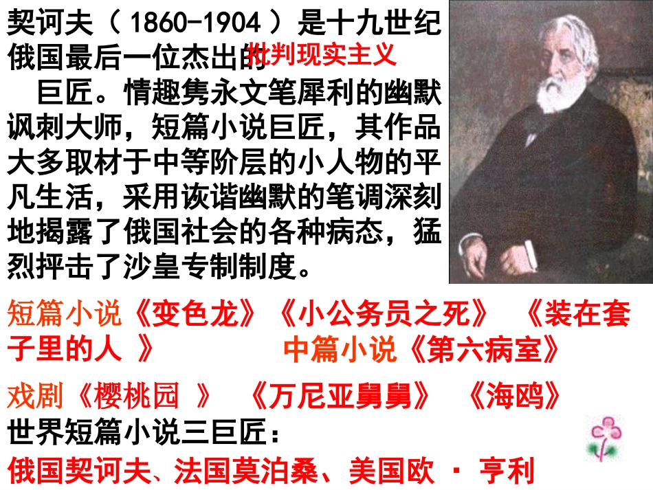 《装在套子里的人》示范课课件_第3页