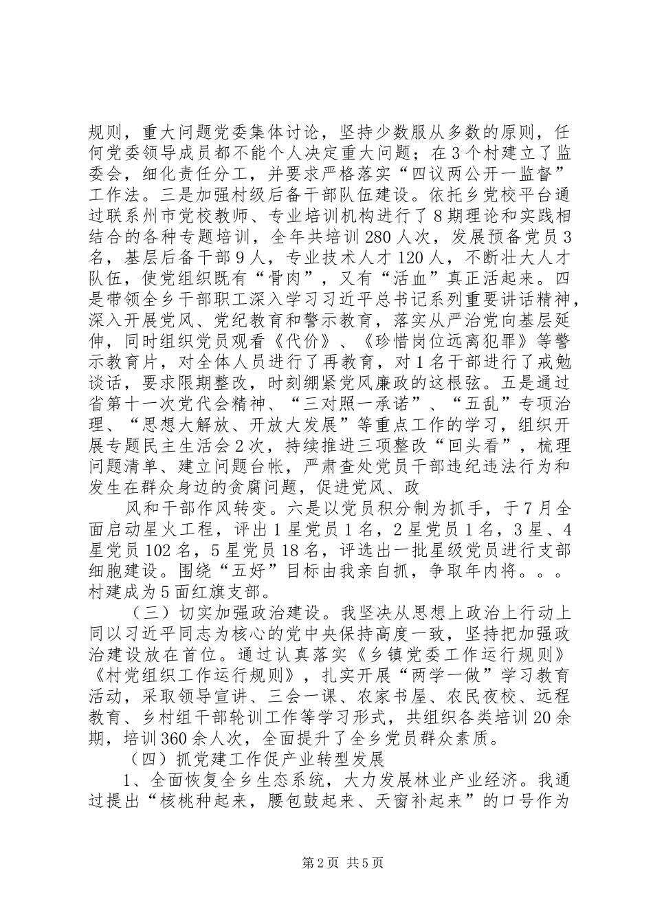 XX乡镇XX年履行基层党建工作第一责任人职责述职报告_第2页