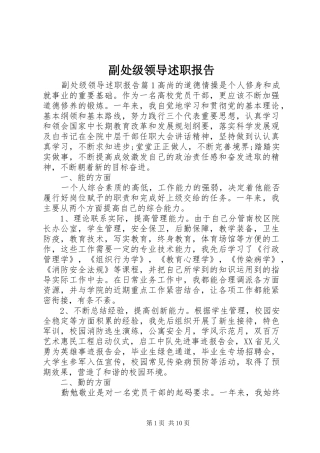 副处级领导述职报告