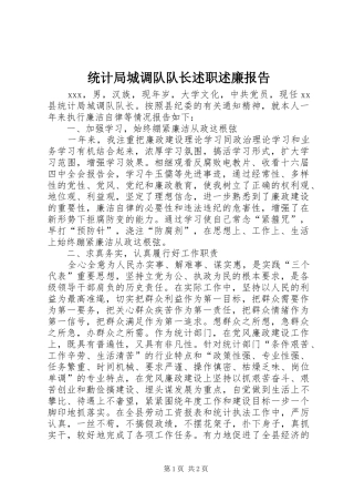统计局城调队队长述职述廉报告