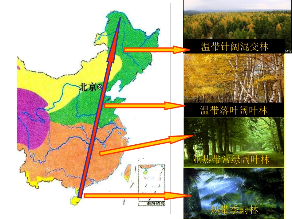 山地垂直地带性分异规律_第1页
