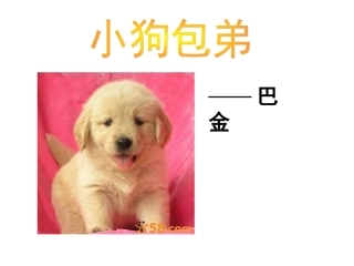 《小狗包弟》课件8[1]