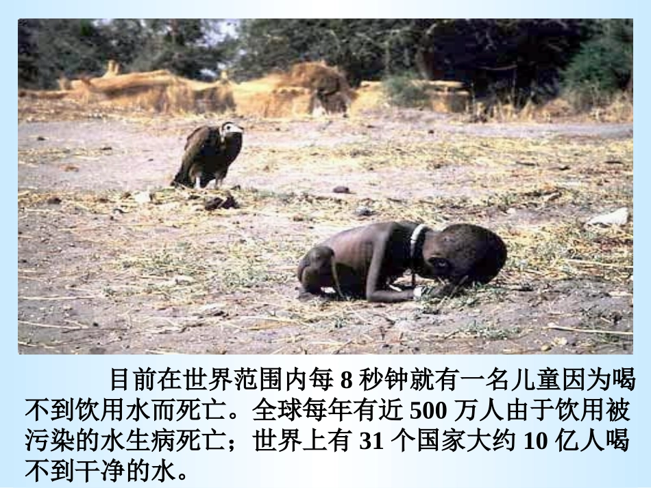 水资源的合理利用文雅萍_第2页