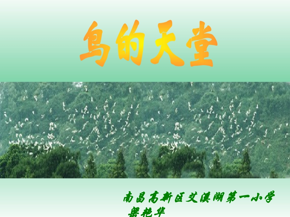 语文第七册《鸟的天堂》教学课件梁艳华_第1页