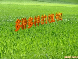 六年级科学上册一植物的生命系统1植物的器官和营养第一课时课件