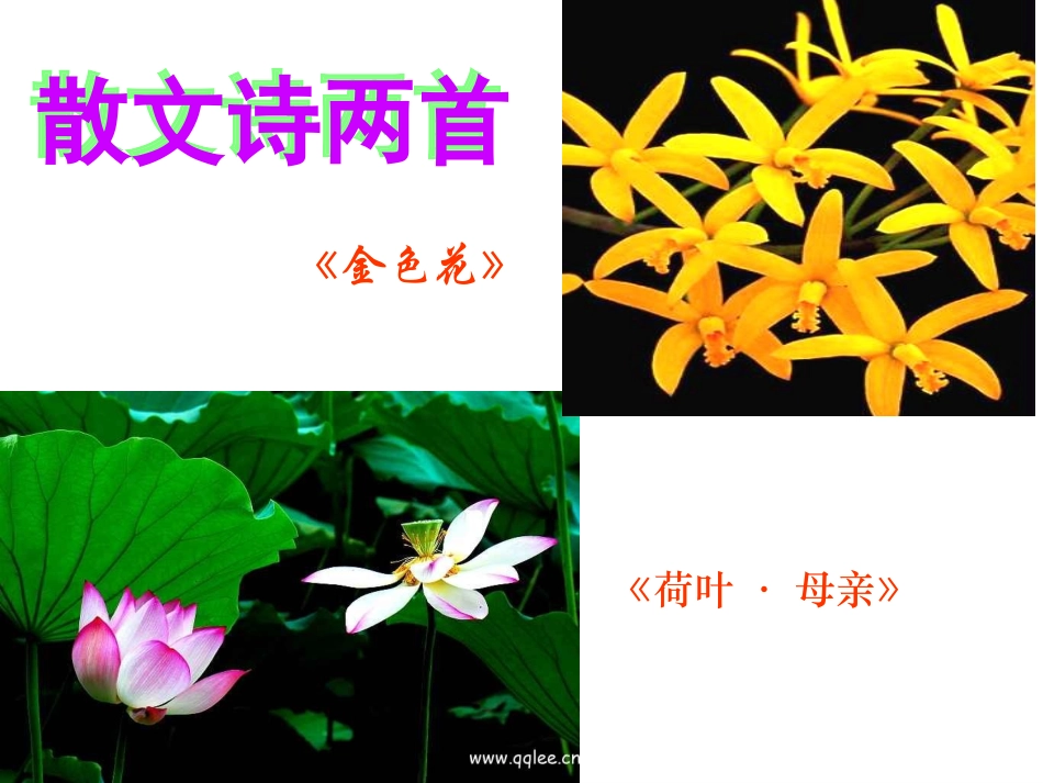 散文诗两首 (3)_第2页