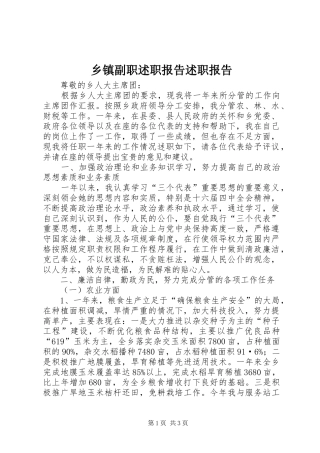 乡镇副职述职报告述职报告