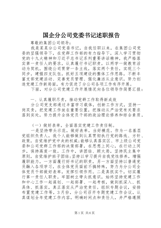 国企分公司党委书记述职报告