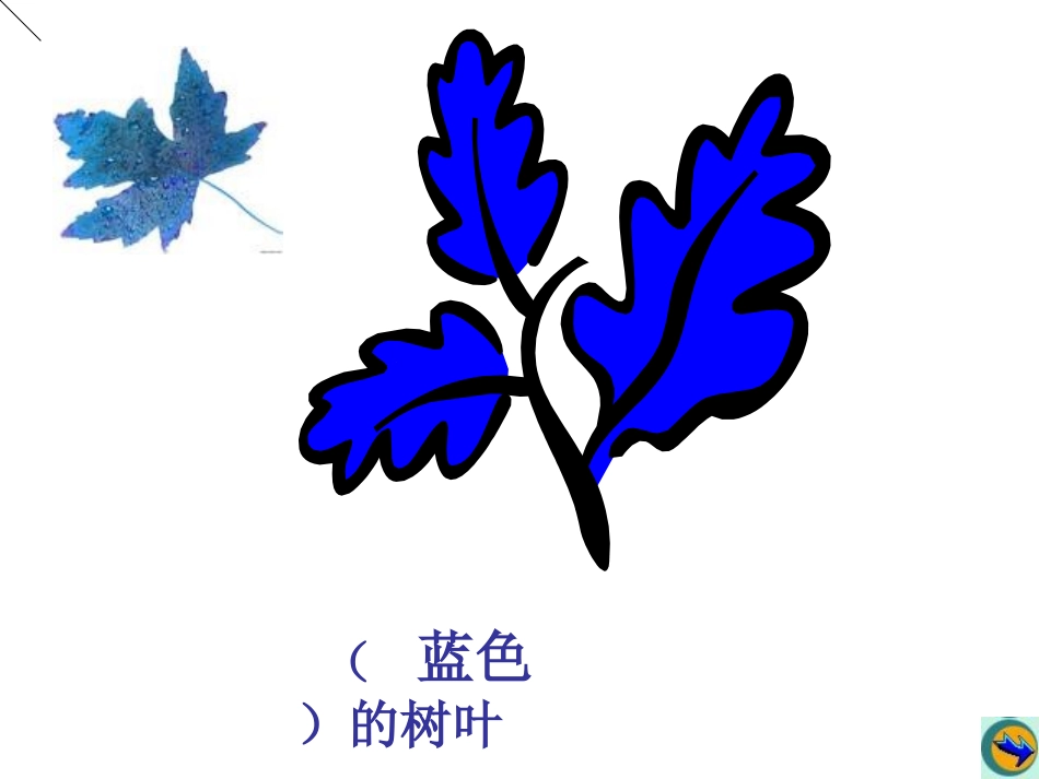 《蓝色的树叶》PPT课件_第3页